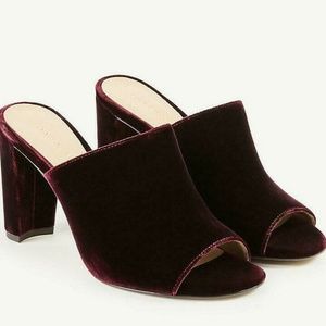 Ann Taylor Hayden Italian Velvet Heeled Mule -Wine
